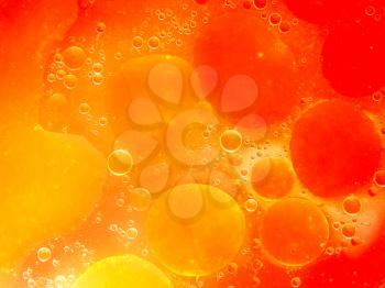 Abstract orange and red bubble background looks as molecular structure.