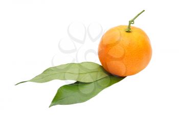 Appetizing tangerine with green leafes isolated on white background.