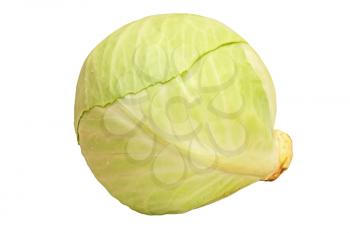Green ripe cabbage isolated on white background.