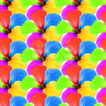 Multicolored flowers kaleidoscope pattern as abstract background.Digitally generated image.