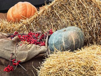 Thanksgiving Display of Pumpkin on hay stacks and burlap sack with red berries taken closeup.Toned image.
