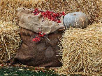Thanksgiving Display of Pumpkin on hay stacks and burlap sack with red berries.Toned image.