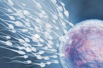 Illustration of sperm and egg cell. 3D illustration