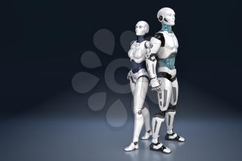 Female and male robots. 3D illustration