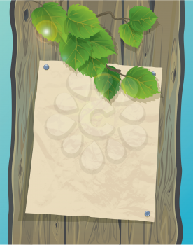 Old paper on a wooden wall and green spring leaves of birch. Background with empty space for your text