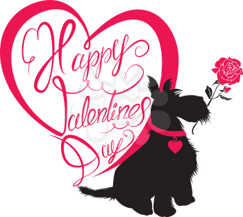 Holiday card. Calligraphic hand written text Happy Valentine s Day in heart shape and scottish terrier dog silhouette with rose, isolated on white background. 