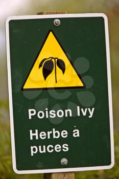 Poison Ivy Sign