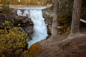 Athabasca Falls in Jasper National Park