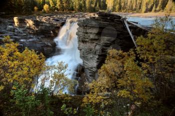 Athabasca Falls in Jasper National Park, Alberta 