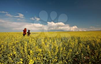 Two young girls in a canola field