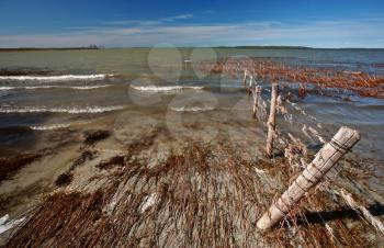 mudflats along Lake Manitoba shore