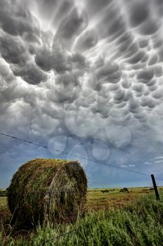 Prairie Storm Canada summer rural major Clouds Mammatus