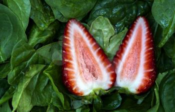 Macro Close Up Fruit and Spinach green and red