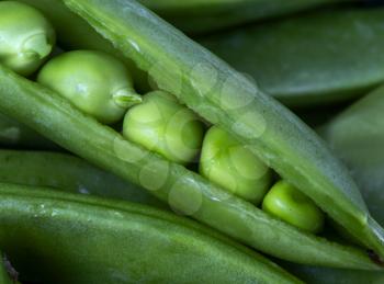 Close Up Peas pod green vegetable macro angle