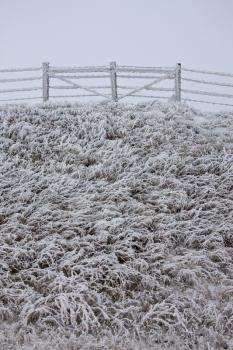 Winter Frost Saskatchewan Canada ice storm fence