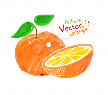 Vector felt pen child drawing of orange fruit.