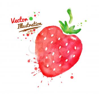 Vector watercolor hand drawn strawberry.