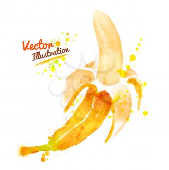 Hand drawn watercolor vector illustration of banana with paint splashes.