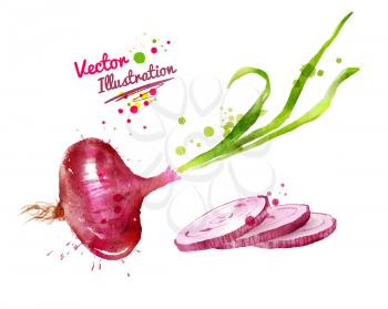 Watercolor vector drawing of red onion with paint splashes.