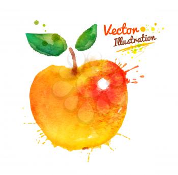 Hand drawn vector watercolor apple.