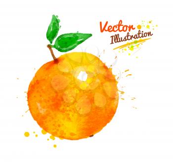 Watercolor vector illustration of an orange with paint splashes.