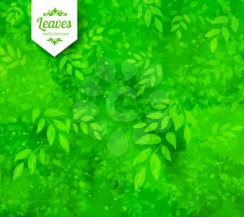 Spring and summer vector grunge green watercolor background with leaves and tree branches.