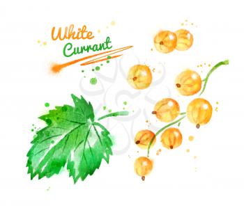 Watercolor illustration of white currant and leaf with paint smudges and splashes.