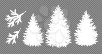 Vector illustration set of white silhouettes of Christmas trees and branches on transparency background.