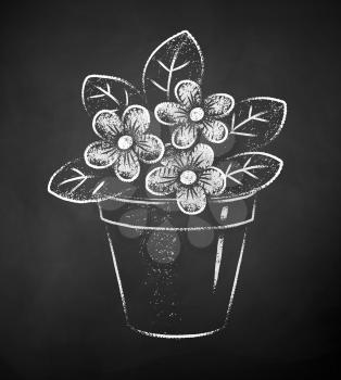 Vector black and white chalk drawn illustration of flower in pot on chalkboard background.