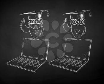 Vector chalk drawn black and white illustrations of student owl sitting on laptop with and without face mask on chalkboard background.