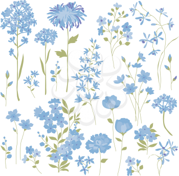 Hyacinth Clipart