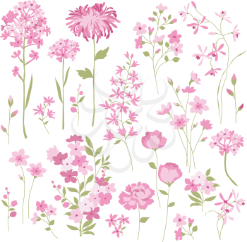 Carnation Clipart