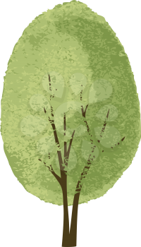 Mulberry Clipart