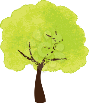 Elm Clipart