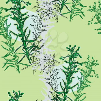 Vector graphic, artistic, stylized image of seamless pattern watercolor flower Helichrysum, yarrow
