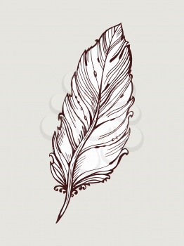Vector graphic, artistic, stylized image of quill