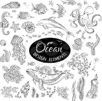Whale, dolphin, turtle, fish, starfish, crab, shell, jellyfish, octopus, seahorse, seaweed. Hand-drawn sealife isolated on white background.