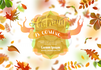 A lot of falling leaves on white background. Badge and ribbon. Blurred background. Oak, rowan, maple, chestnut and aspen leaves. Vector illustration.