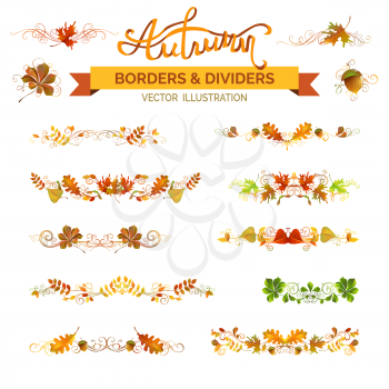 Vector nature design elements isolated on white background. Oak, rowan, maple, chestnut, elm leaves and acorn. Swirls and flourishes.