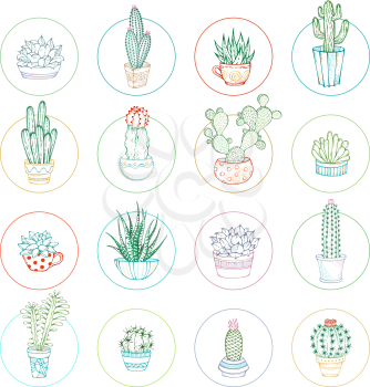 Hand-drawn cactuses and succulents in flower pots and cups with prickles, flowers and without. Round shapes. Isolated on white.