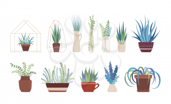 Houseplants, flowers in vases and pots flat vector illustrations set. Flowerpots with plants and greenery bouquets, interior design elements pack. Home flowers collection isolated on white background