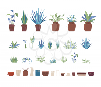 Home plants and clay pots flat vector illustrations set. Ceramic flowerpots and domestic plants, interior design elements pack. Room greenery collection isolated on white background