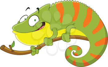 Chameleon cartoon