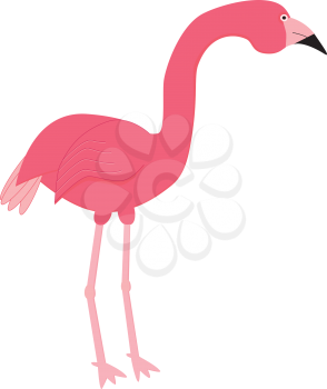 Royalty Free Clipart Image of a flamingo