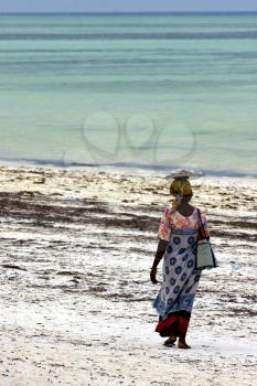 beach seaweed and masai  women in tanzania zanzibar