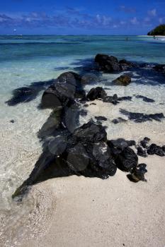 beach man and parachute in ile du cerfs mauritius