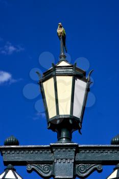 old green street lamp parrot and clouds in  buenos aires argentina