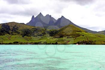 ile du cerfs seaweed in indian ocean mauritius mountain   sand isle  sky and rock