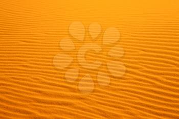 in the yellow desert of morocco lonely   dune hill