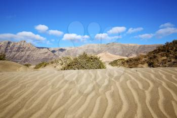 abstract yellow dune beach  hil and mountain in the   lanzarote spain 
